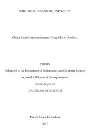 Object Identification in Imagery Using Cluster Analysis